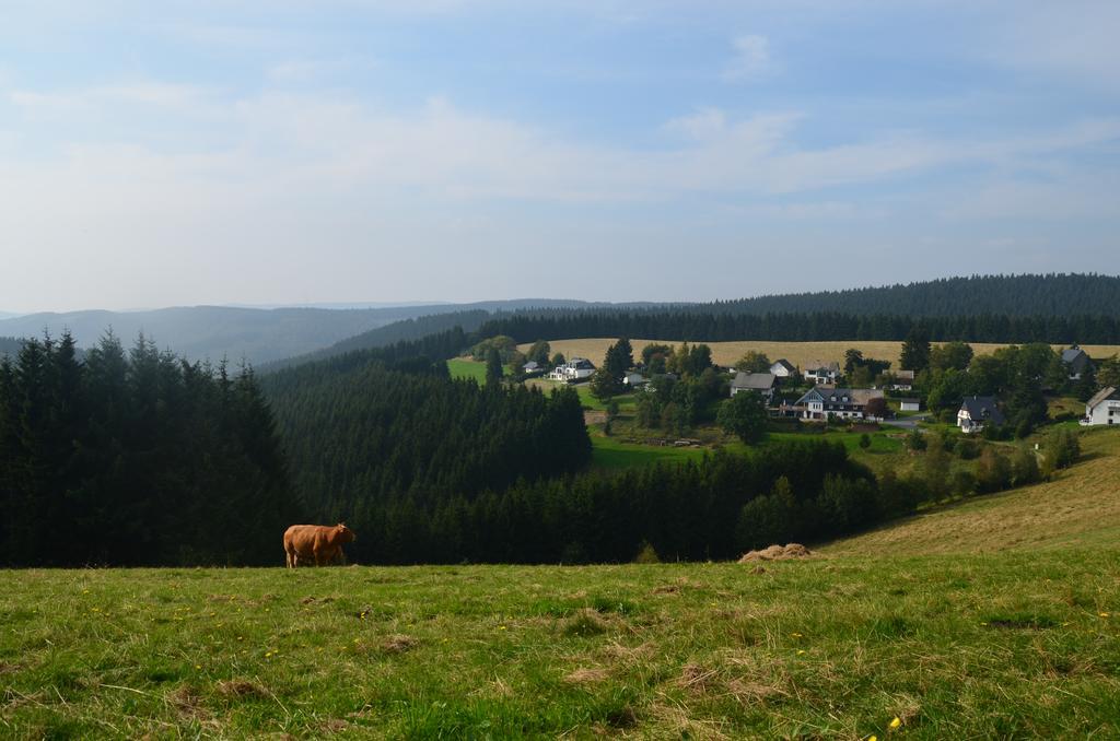 Berggasthof Zur Glocke Winterberg Luaran gambar